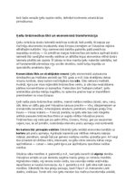 Konspekts 'Ķeltu civilizācija: vēsture, reliģija, druīdi, kultūra un mantojums', 16.
