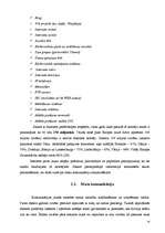 Referāts 'Jaunatnes "virtuālo" komunikāciju problēmas', 14.