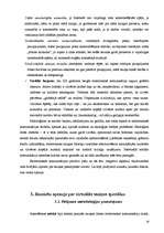 Referāts 'Jaunatnes "virtuālo" komunikāciju problēmas', 19.