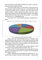 Referāts 'Jaunatnes "virtuālo" komunikāciju problēmas', 22.