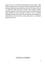 Referāts 'Jaunatnes "virtuālo" komunikāciju problēmas', 27.