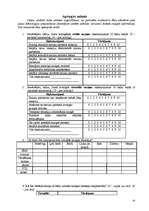 Referāts 'Jaunatnes "virtuālo" komunikāciju problēmas', 32.