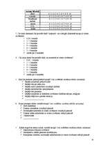 Referāts 'Jaunatnes "virtuālo" komunikāciju problēmas', 33.