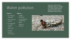 Prezentācija 'Environmental Problems in India', 2.