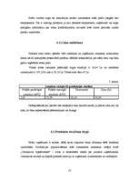 Biznesa plāns 'Konditorejas firma SIA "Biskvīts"', 13.