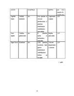 Biznesa plāns 'Konditorejas firma SIA "Biskvīts"', 16.