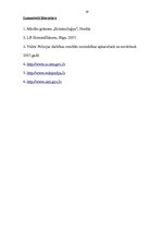 Referāts 'Noziedzība un tās pamatrādītāji', 19.