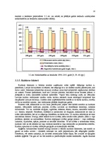 Prakses atskaite 'Prakses atskaite SIA "N"', 16.
