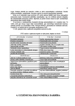 Prakses atskaite 'Prakses atskaite SIA "N"', 18.