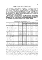 Prakses atskaite 'Prakses atskaite SIA "N"', 19.