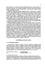 Prakses atskaite 'Prakses atskaite SIA "N"', 22.