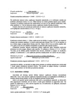 Prakses atskaite 'Prakses atskaite SIA "N"', 24.