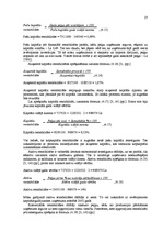 Prakses atskaite 'Prakses atskaite SIA "N"', 27.