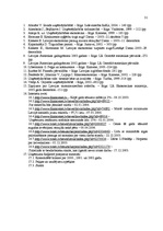 Prakses atskaite 'Prakses atskaite SIA "N"', 31.