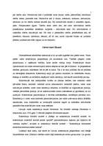 Referāts 'Tiesību avoti', 7.