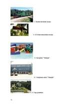 Referāts 'Ventspils', 13.