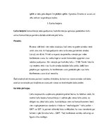 Referāts 'Barjeras', 3.