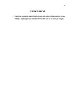 Referāts 'Pamatlīdzekļu operatīvās un finanšu nomas uzskaite uzņēmumā', 24.