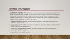 Prezentācija 'Civiltiesiskās atbildības modeļi', 4.