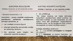 Prezentācija 'Civiltiesiskās atbildības modeļi', 11.