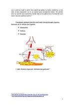 Konspekts 'Fizioloģiskie hemoglobinogēnie pigmenti', 5.