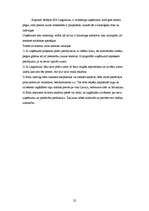 Prakses atskaite 'SIA "Latgranula"', 22.