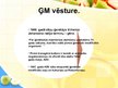 Prezentācija 'Ģenētiski modificētie produkti', 4.