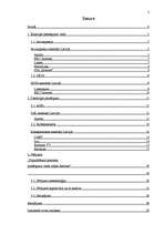 Referāts 'Interneta pieslēguma veidi mājas datoram', 3.