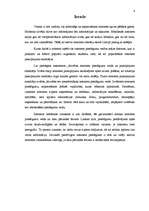 Referāts 'Interneta pieslēguma veidi mājas datoram', 5.