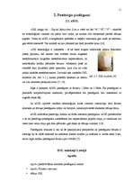 Referāts 'Interneta pieslēguma veidi mājas datoram', 12.