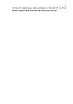 Referāts 'Interneta pieslēguma veidi mājas datoram', 19.