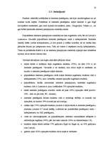 Referāts 'Interneta pieslēguma veidi mājas datoram', 29.