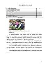 Referāts 'Vaira Vīķe-Freiberga', 8.