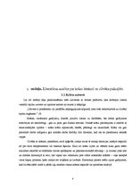 Referāts 'Krāsu ietekme uz cilvēka pašsajūtu', 6.