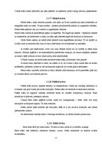 Referāts 'Krāsu ietekme uz cilvēka pašsajūtu', 13.