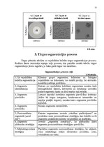 Referāts 'Segmentēšanas veidi un metodes', 13.