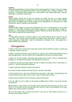 Referāts 'Ziemassvētkus sagaidot...(Latviešu un angļu valodā)', 8.