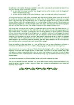 Referāts 'Ziemassvētkus sagaidot...(Latviešu un angļu valodā)', 16.