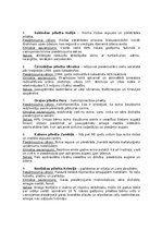 Konspekts 'Piesārņotākās vietas pasaulē', 2.