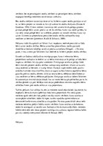 Referāts 'Jauniešu vecumposma iezīmes etniskās identitātes un vērtību veidošanās kontekstā', 11.