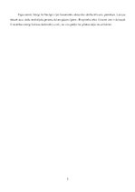 Konspekts 'Rīgas pilsētas Centra apkaimes apbūves plānošanas formas un funkcionālais zonēju', 3.