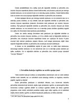 Referāts 'Pašvaldības tiesības', 9.