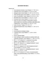 Referāts 'Īpašuma lietošanas tiesību aprobežojumi tauvas joslā', 28.