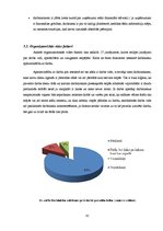 Diplomdarbs 'SIA "Nads" personāla motivācijas analīze un pilnveidošanas iespējas', 41.