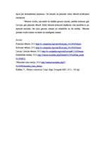 Eseja 'Vēstures ciklu teorija', 3.