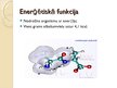 Prezentācija 'Olbaltumvielu funkcijas', 6.
