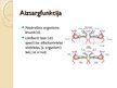 Prezentācija 'Olbaltumvielu funkcijas', 7.