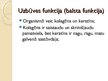 Prezentācija 'Olbaltumvielu funkcijas', 12.