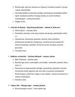 Konspekts 'Farmakognozijas augi eksāmenam', 2.