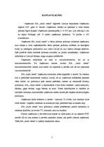 Biznesa plāns 'SIA "Audz vesels"', 3.